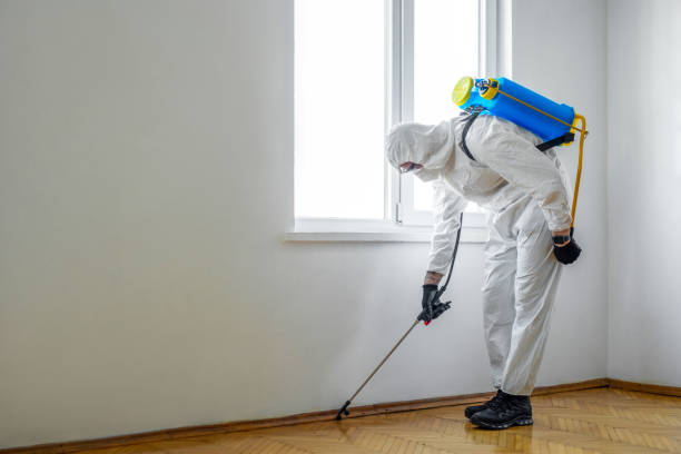 Flea Control Services in Danville, IN