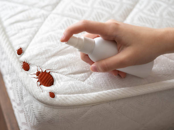 Best Pest Control Near Me in Danville, IN