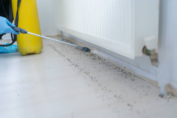 Best Pest Removal Services  in Danville, IN